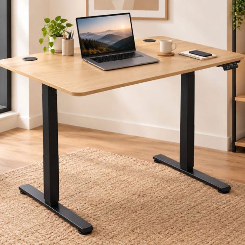 ERGOTECH — Bureau assis-debout électrique pour travail, gamers et étudiants